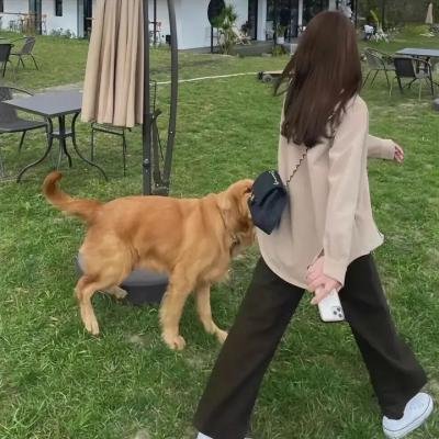 特鲁曼